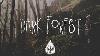 Dark Forest An Indie Folk Alternative Playlist Halloween 2017