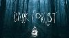 Dark Forest An Indie Folk Alternative Playlist Vol 5 Halloween 2023