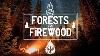 Forests U0026 Firewood An Indie Folk Pop Campfire Playlist