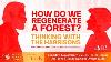 How Do We Regenerate A Forest Thinking With The Harrisons