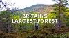 My Quest To Find The Uk S Largest Forest
