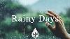 Rainy Days A Melancholic Folk Pop Playlist