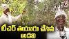 Retired Teacher Creates Mini Forest In Sangareddy V6 News