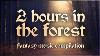 Two Hours In The Forest Celtic Fantasy Folk Music