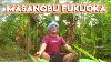 Using Masanobu Fukuoka S Natural Farming Principals In A Permaculture Food Forest Krishna Mckenzie