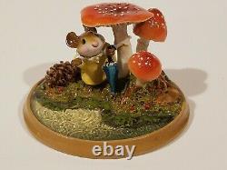 WEE Forest Folk Raindrops RARE / Retired Fast free shipping withbox