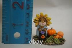 Wee Forest Folk M-338 Sunflower Daisy Dress Up (RETIRED)Halloween Pumpkin Flower